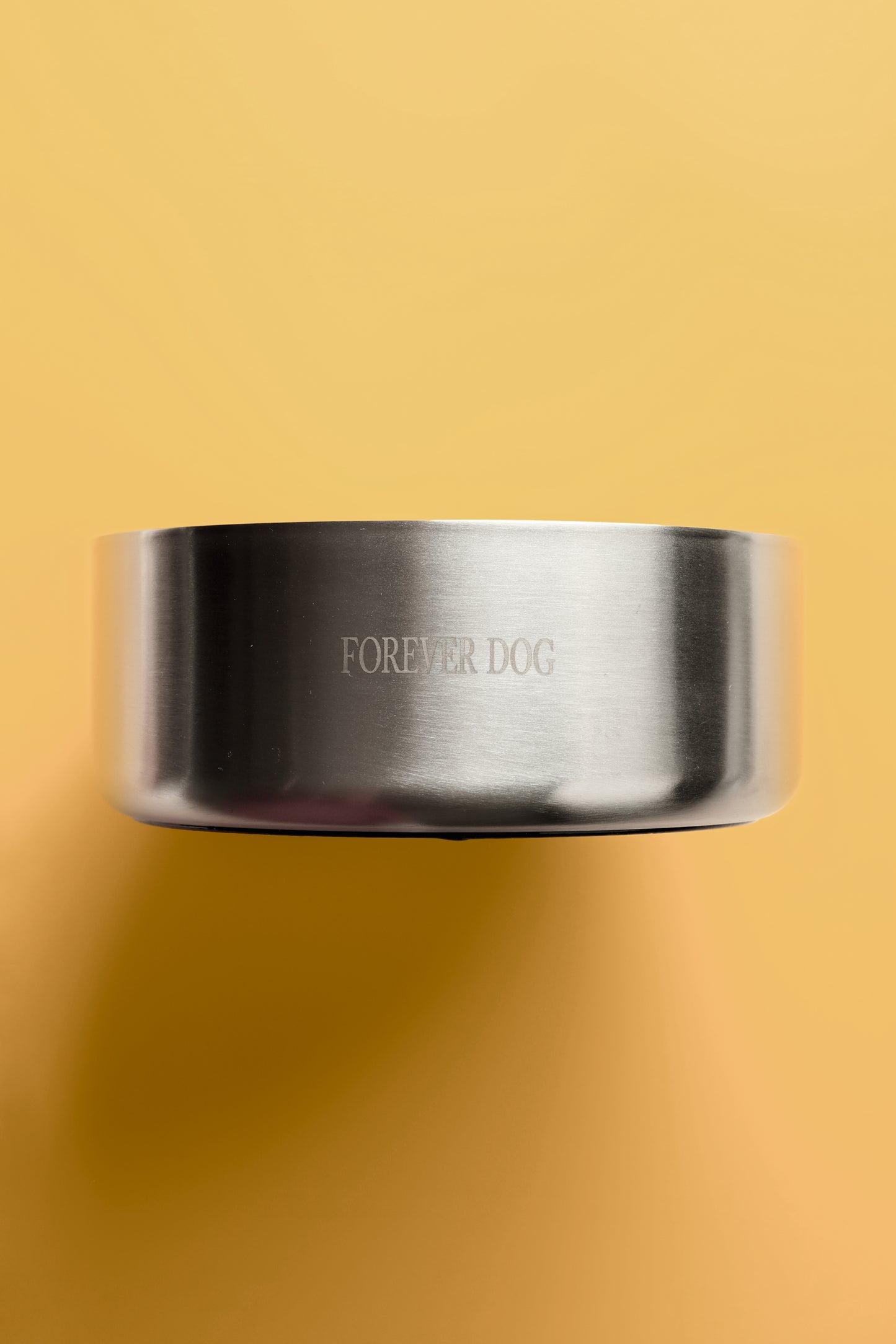 Stainless steel “FOREVER DOG" bowl
