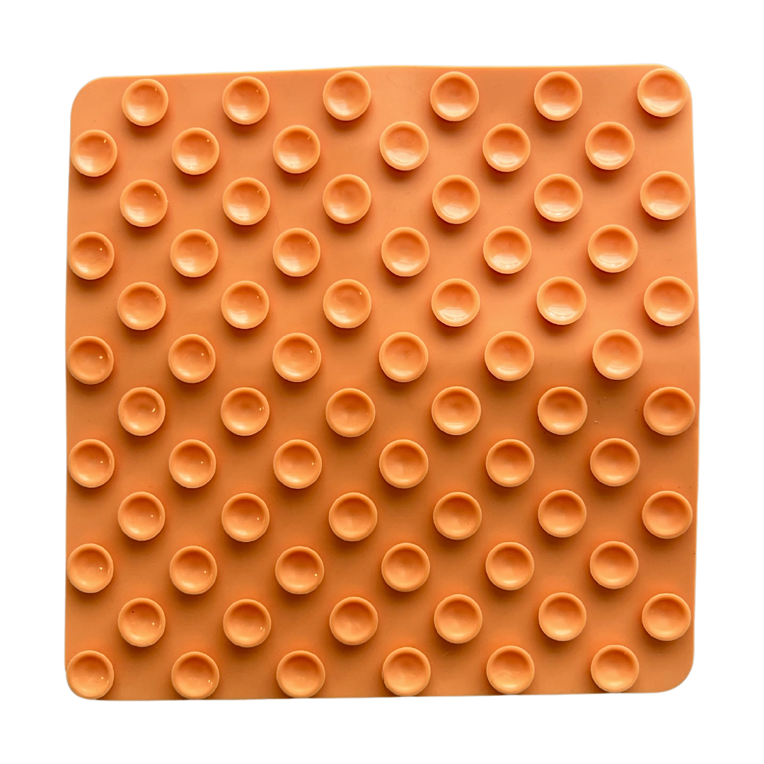 FOREVER DOG LIFE enrichment mat