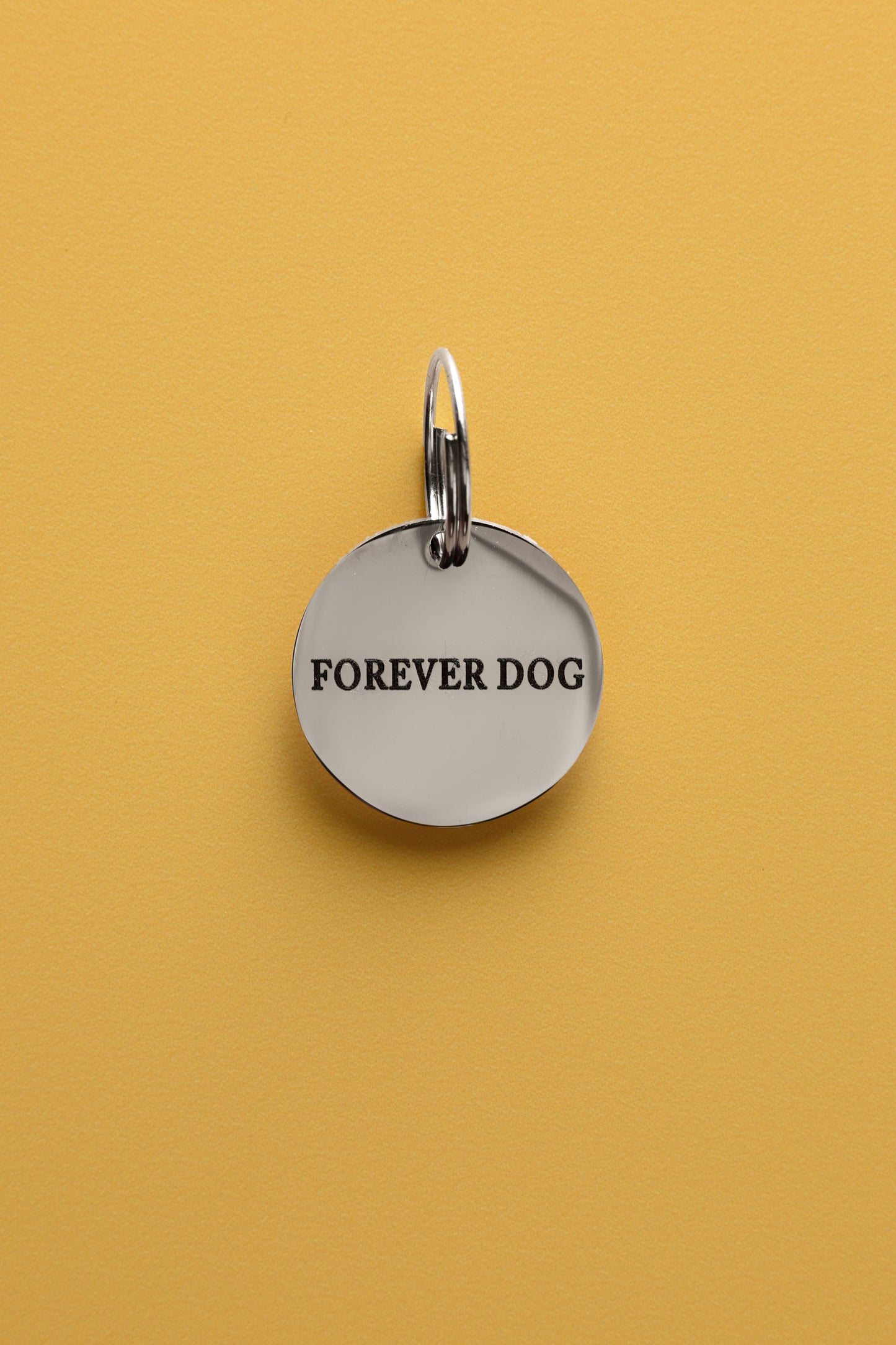 FOREVER DOG stainless steel collar memento