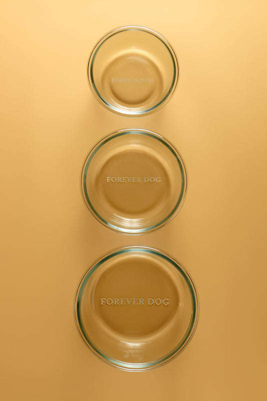FOREVER DOG 100% borosilicate glass food and water bowl