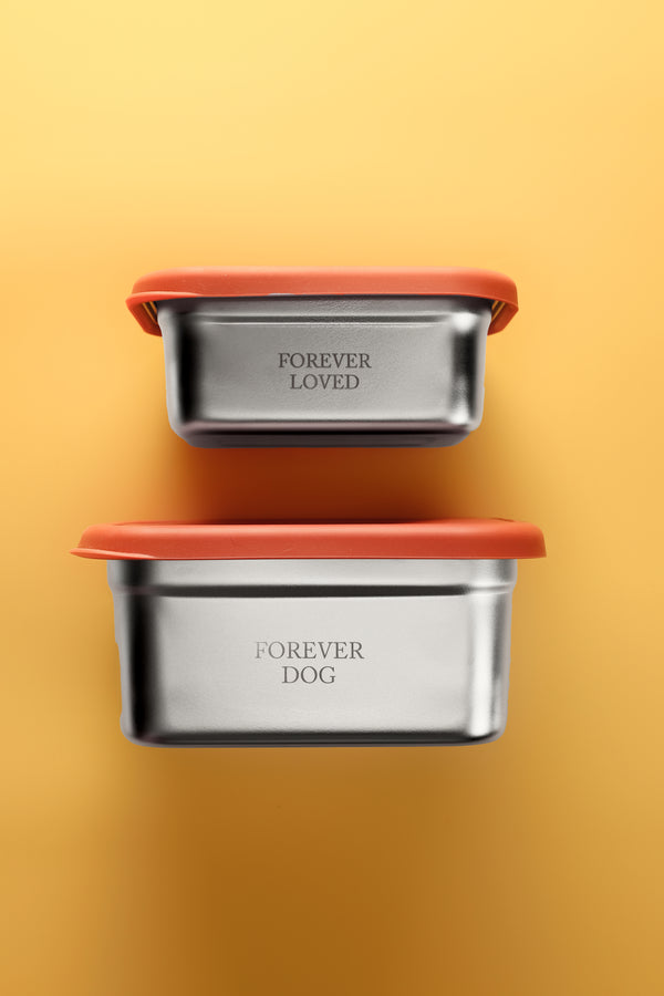 Stainless steel food storage container two sizes to choose from Planet Paws