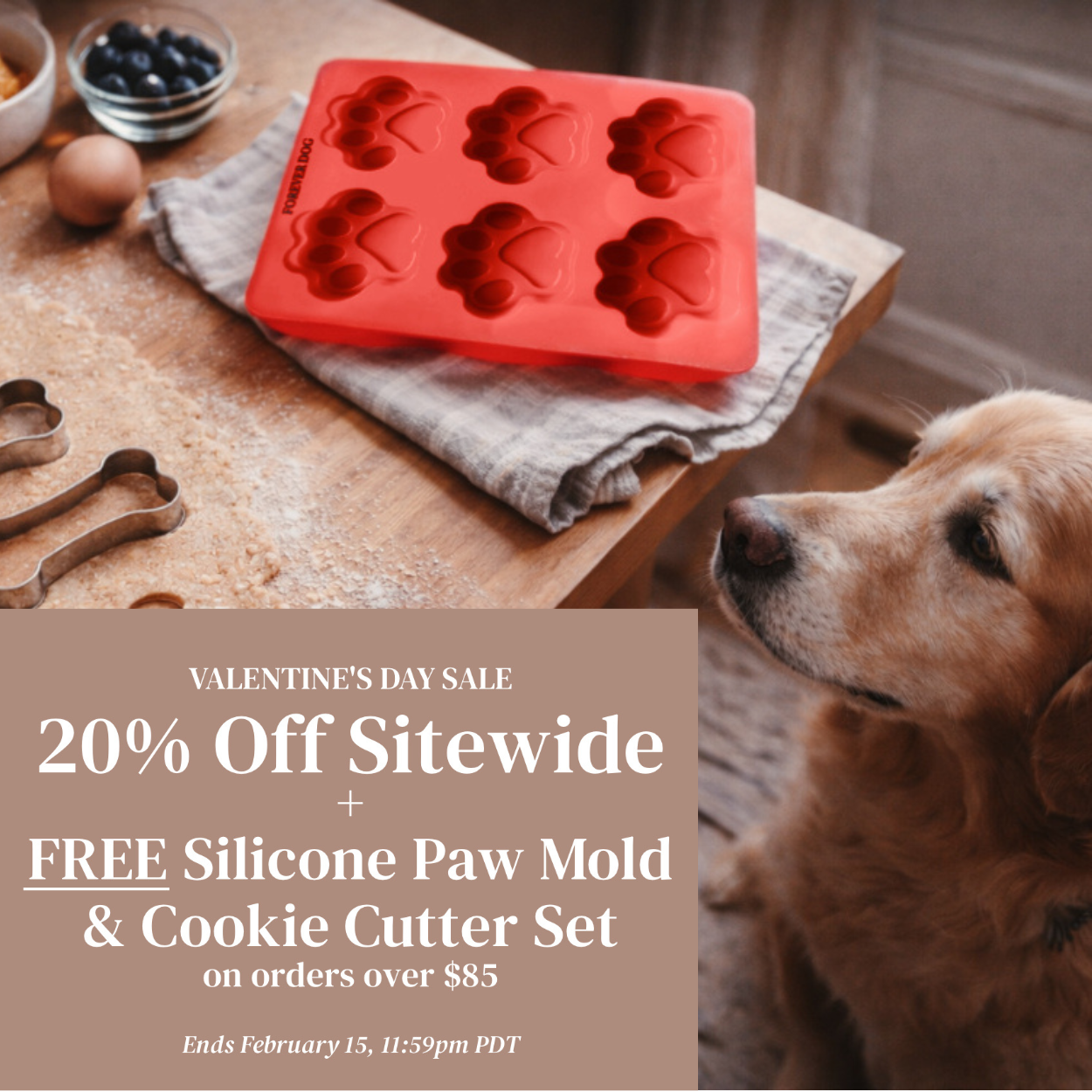 Valentines Day Sale 2026