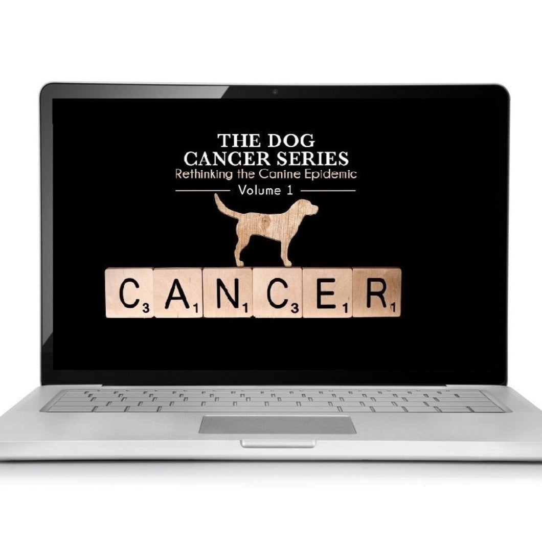 Dog Cancer Series Gold Package